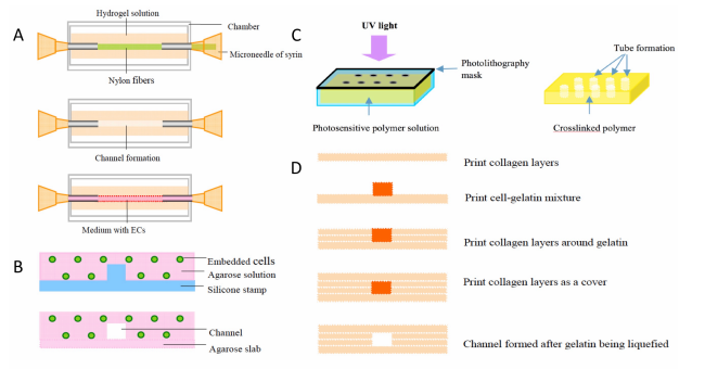 如何使用低成本桌面3D打印機(jī)創(chuàng)建血管結(jié)構(gòu) 如何使用低成本桌面3D打印機(jī)創(chuàng)建血管結(jié)構(gòu)